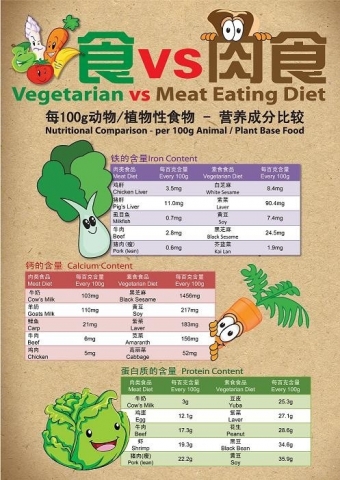 素食VS肉食.jpg