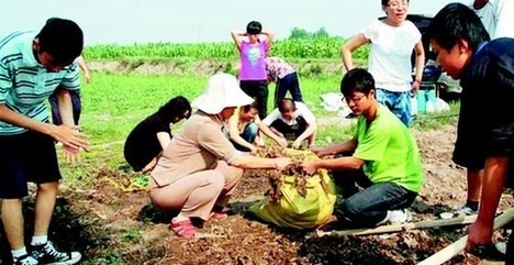 一边平整土地，一边清理白色垃圾，会员和志愿者们把环保理念也带到了农村。.jpg.jpg